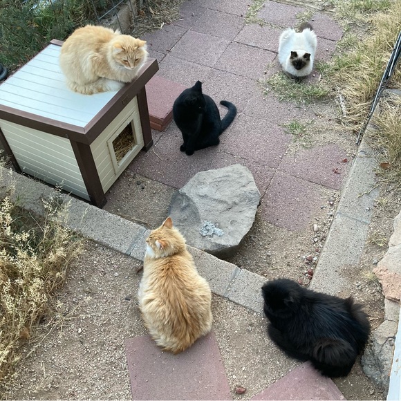 Meet your Posher, Kim - Picture 8 of 8